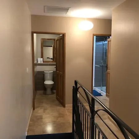 Arche De * 佩兹纳斯